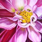Flors de Bach