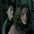 Harry Potter a trav�s del temps