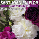 Sant Joan en Flor a Sant Joan Les Fonts