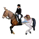 La Corrida 2011