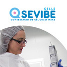 La import�ncia de les c�l�lules mare del cord� umbilical del teu beb�