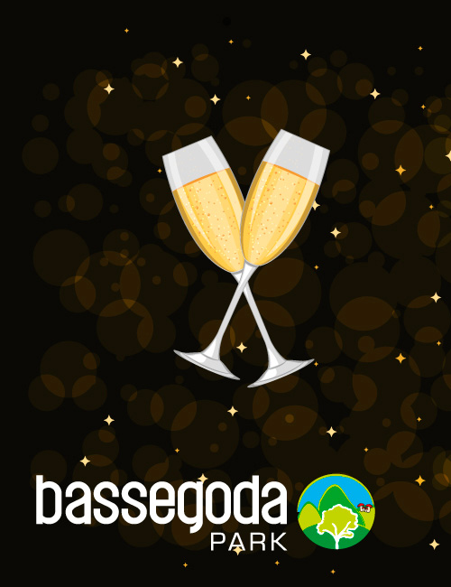 Cap d'any al Bassegoda Park