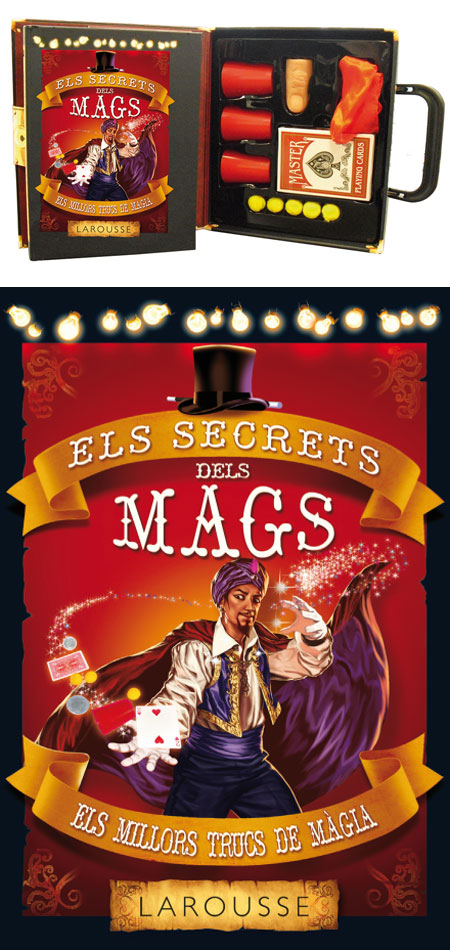 Els secrets dels mags
