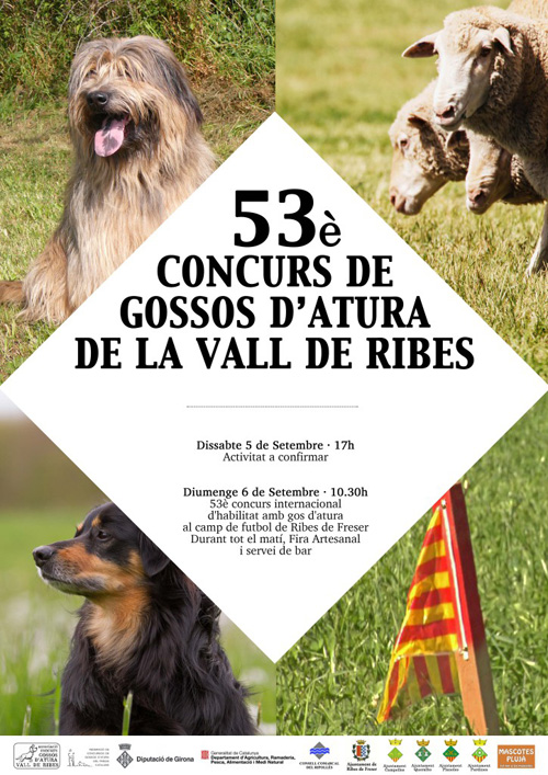 Concurs Internacional d'habilitat de Gos d'Atura a Ribes de Freser