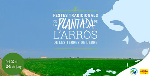 Festa de la plantada de l'arròs a les Terres de l'Ebre
