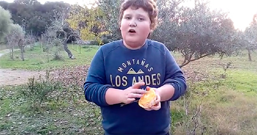 Com triar bé les taronges