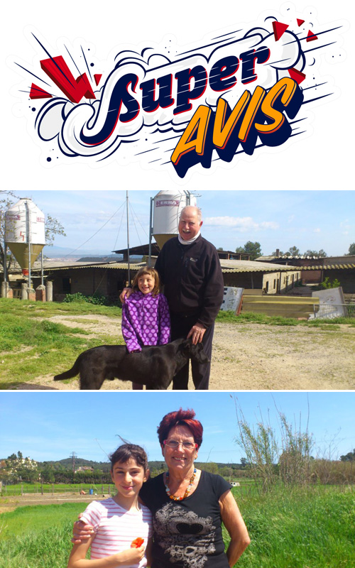 SuperAvis