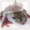 Avatar de l’usuari