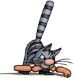 Avatar de l’usuari