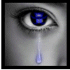 Avatar de l’usuari
