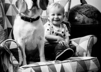El meu beagle i el meu bebè