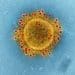 Primer cas de coronavirus  a Catalunya