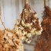 5 tècniques per a assecar flors i usar-les per a decorar