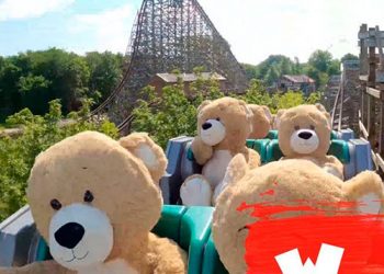 Ossets provant la nova atracció de Wallibi