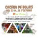 Cacera de bolets a Les Tallades