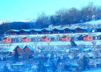 Nits màgiques a La Cerdanya amb excursió al bosc per anar al buscar el Tió i fer-lo cagar
