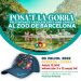 Posa’t la Gorra al Zoo de Barcelona
