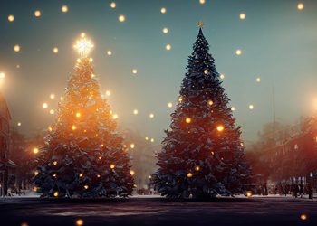 La tradició de l’Arbre de Nadal