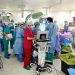 El projecte BCNatal ha permès que sobrevisqui durant 12 dies un fetus d’ovella en una placenta artificial