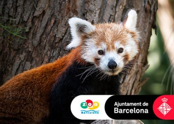 Viu el Zoo de Barcelona