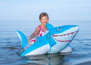 Quins taurons podem trobar a Catalunya?