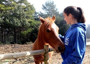 El Zoo del Pirineu, “al límit” de la seva capacitat després de rescatar 420 animals de la natura el 2024