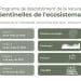 Sentinelles de l’ecosistema: Dendrocronologia – Els guardians del temps del bosc