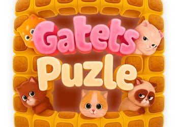Gatets Puzle