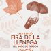 Fira de la Llenega i Bosc de Tardor Cardona 2025
