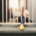 Mesures bàsiques per prevenir accidents infantils