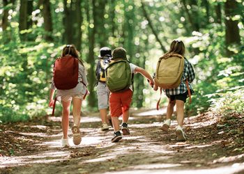 Acellec, ACCAC i la Confederació reivindiquen el valor de les colònies i demanen compensacions “justes” per als docents
