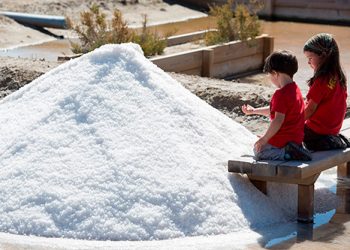 Visita dels Menuts al Delta de l’Ebre