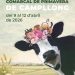 42a Fira Comarcal de Primavera de Campllong