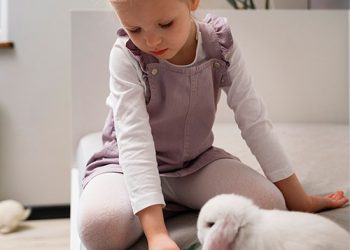 Per què els conills són bones mascotes?