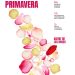 Festes de Primavera de Sant Feliu de Llobregat 2026