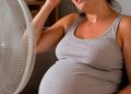 Un estudi constata que l’exposició al fred i a la calor condicionen la mida fetal en el primer trimestre de l’embaràs