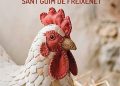 Fira de l’Ou de Sant Guim de Freixenet 2026