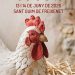 Fira de l’Ou de Sant Guim de Freixenet 2026