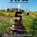 TIFA, Teatre i Família a la Natura a Borredà